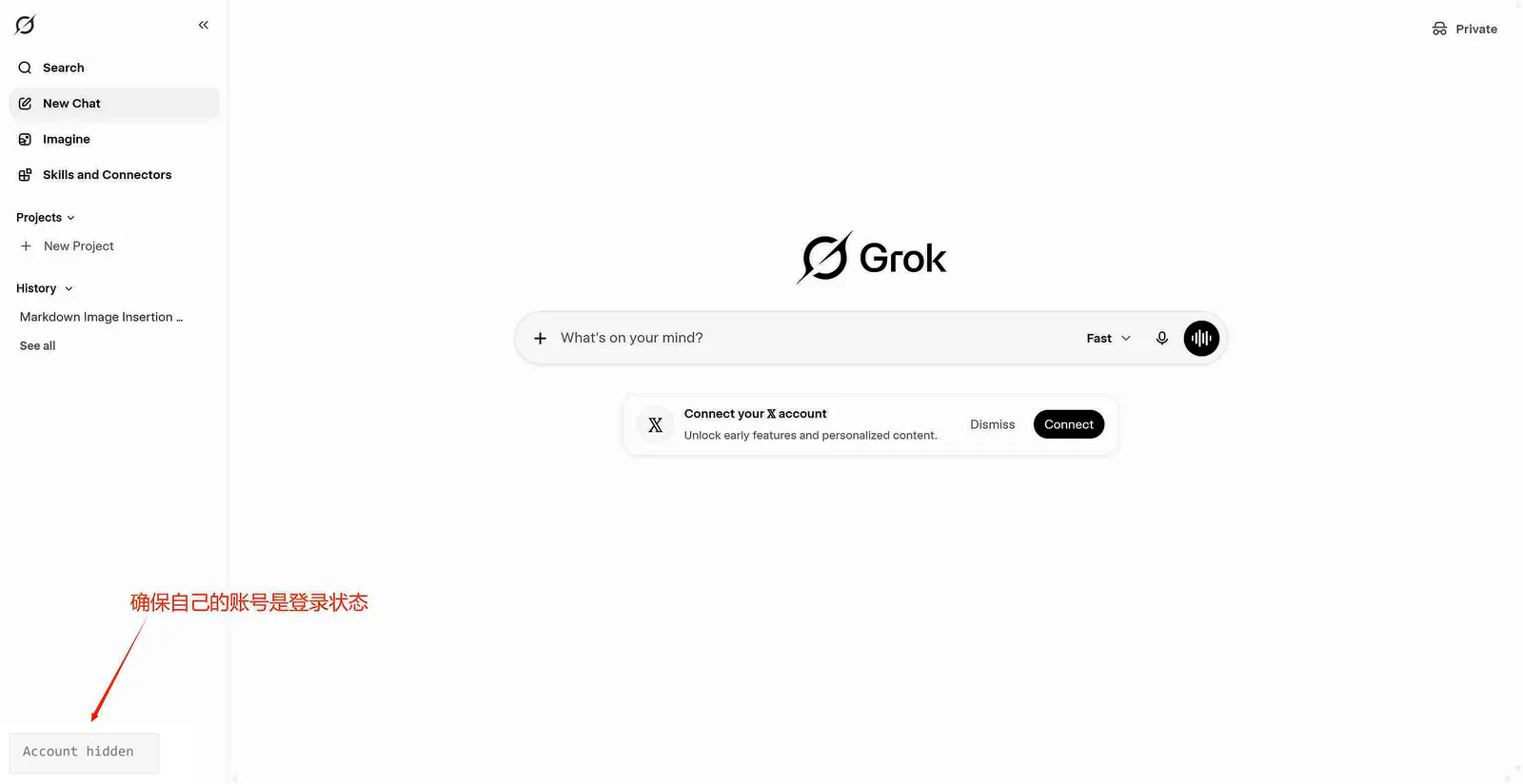 先确认已经登录目标 Grok 账号