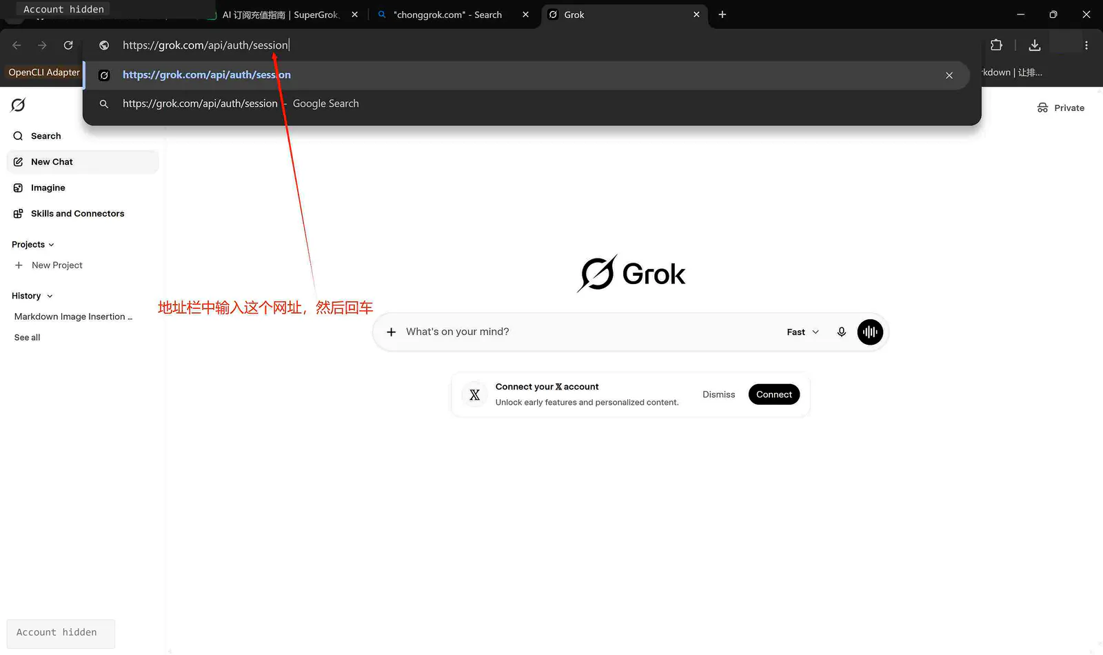 在地址栏打开 Grok session 页面